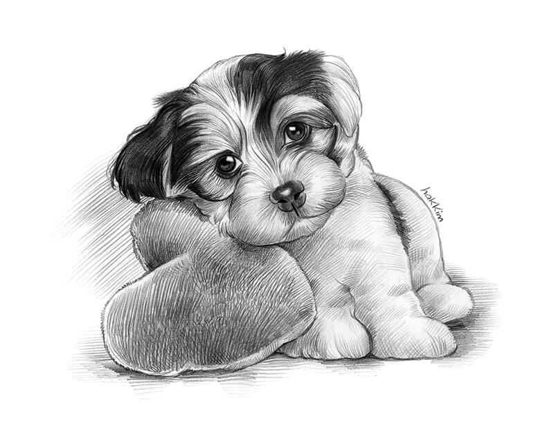 dog pencil sketch