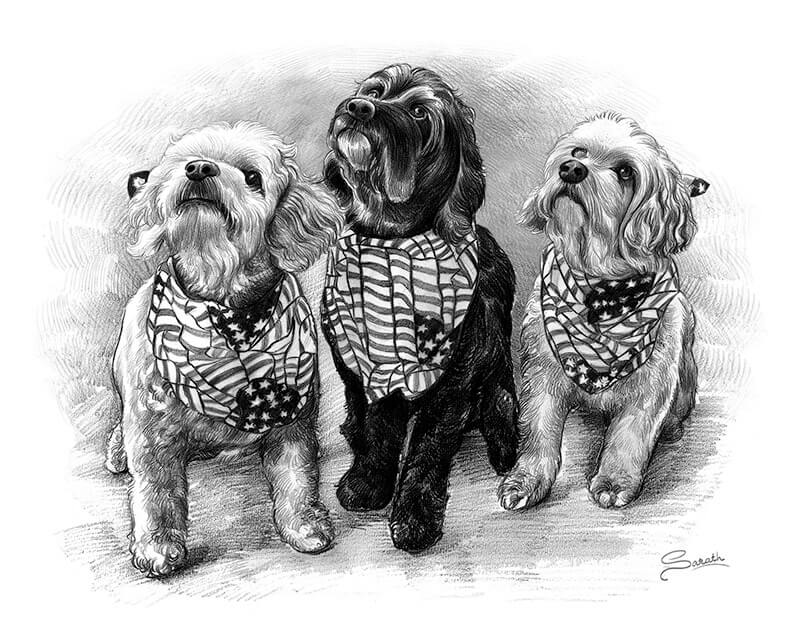 dog pencil sketch