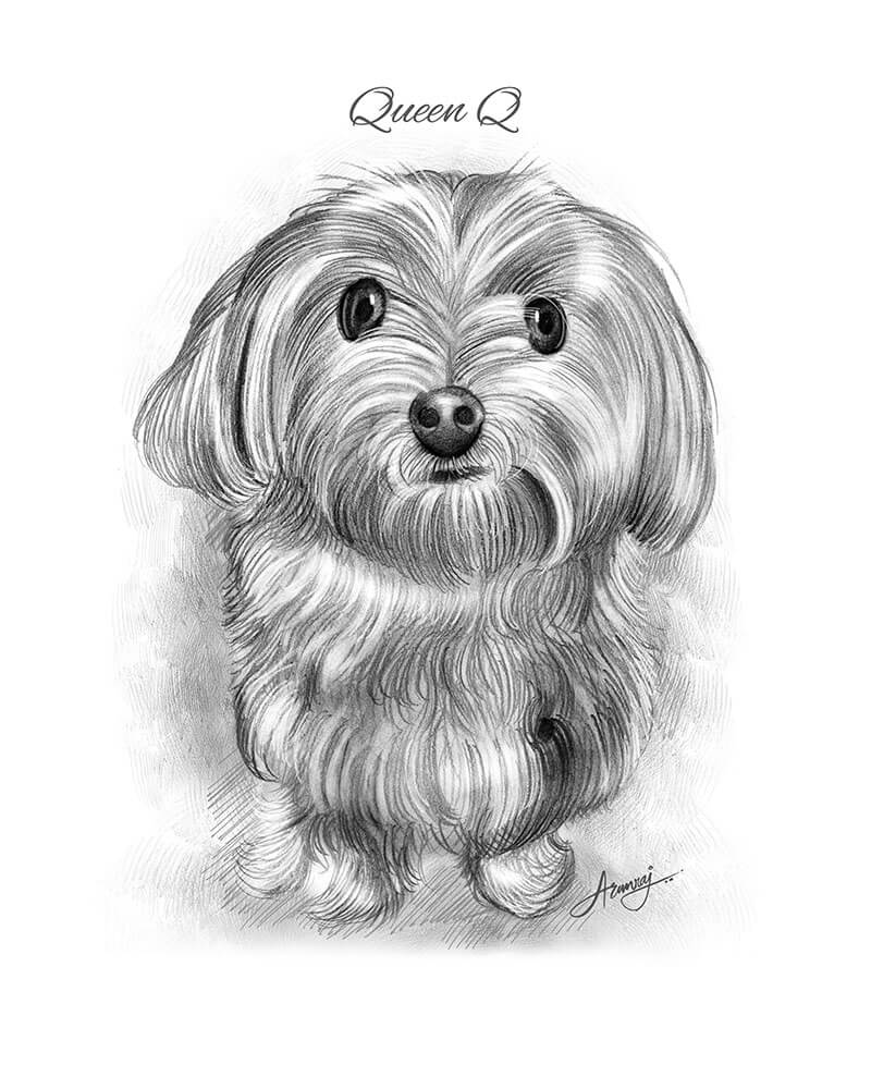 Caricature